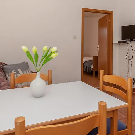 Davorka Bol